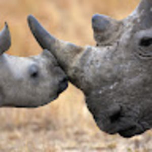 Meet your Posher, Jb